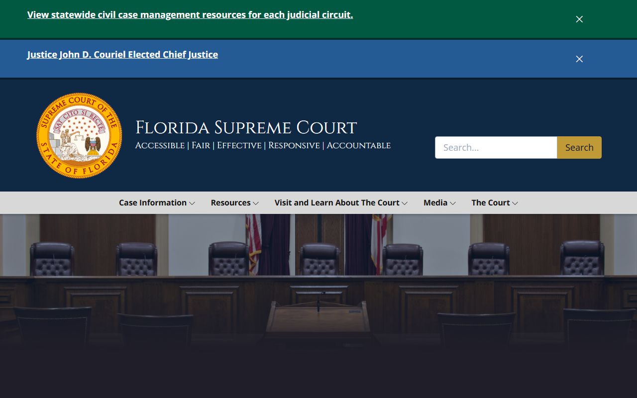 Hillsborough County court records Florida Supreme Court access standards source