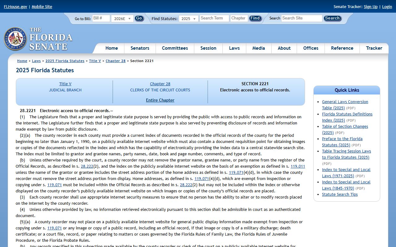 Hillsborough County court records electronic access statute 28.2221 source