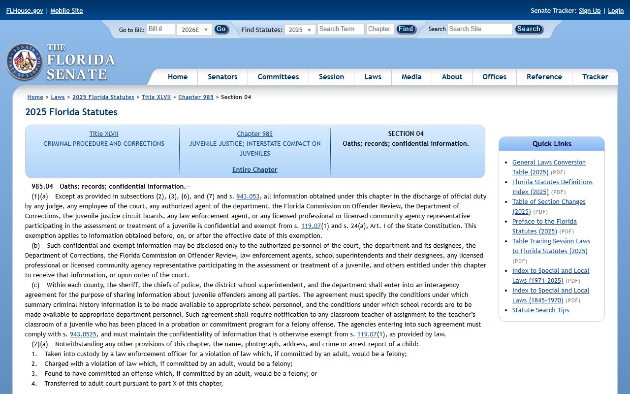 Hillsborough County criminal records juvenile confidentiality statute 985.04
