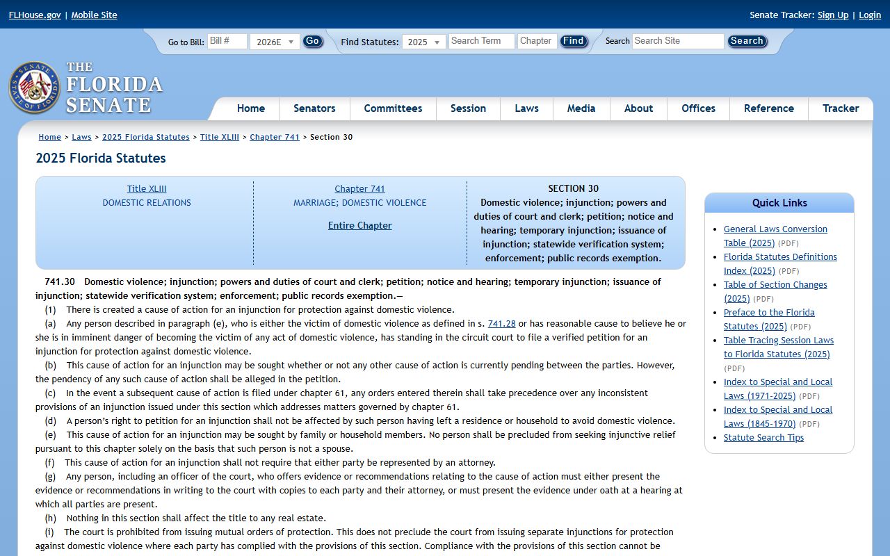 Florida Statutes section 741.30 domestic violence injunction statute used in Hillsborough County cases